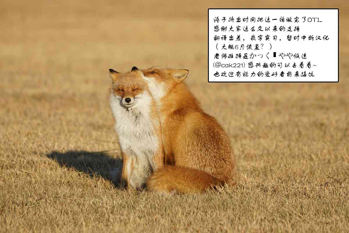 美女与猎人 18话 第13页