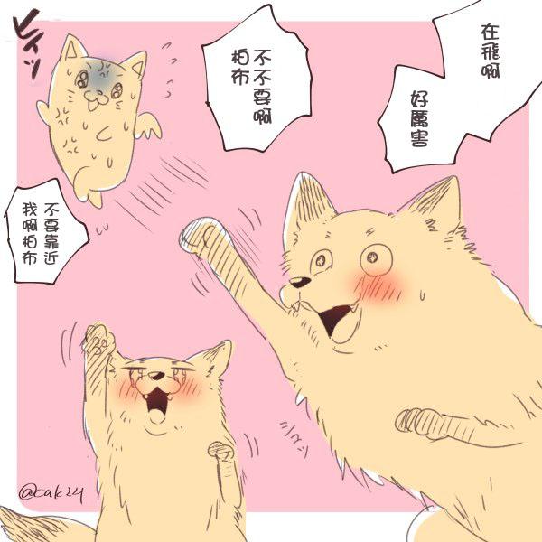 美女与猎人 24话 第9页