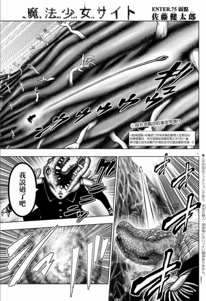 魔法少女site第二部75话图