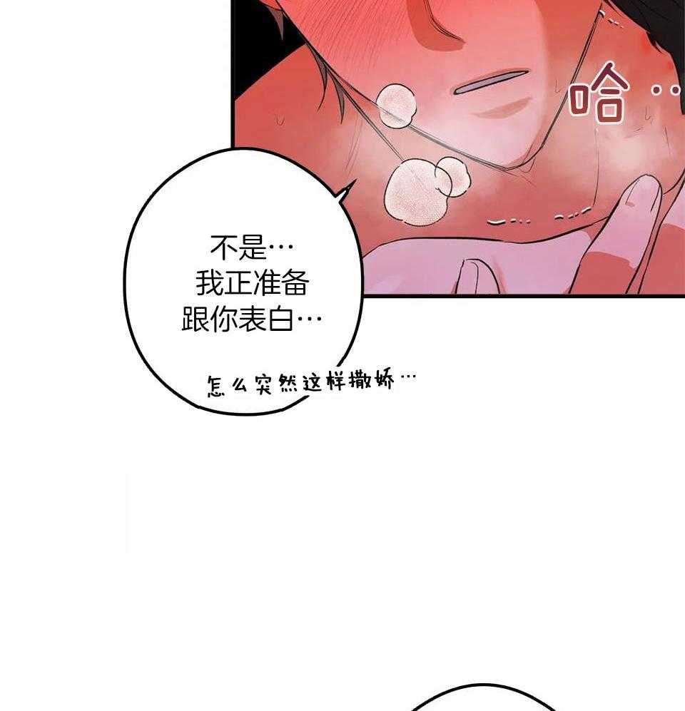 蜜月之旅第10话图