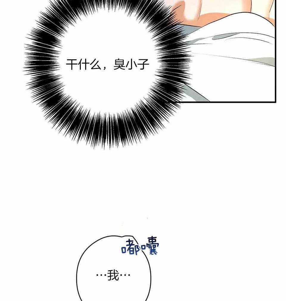 蜜月之旅第10话图