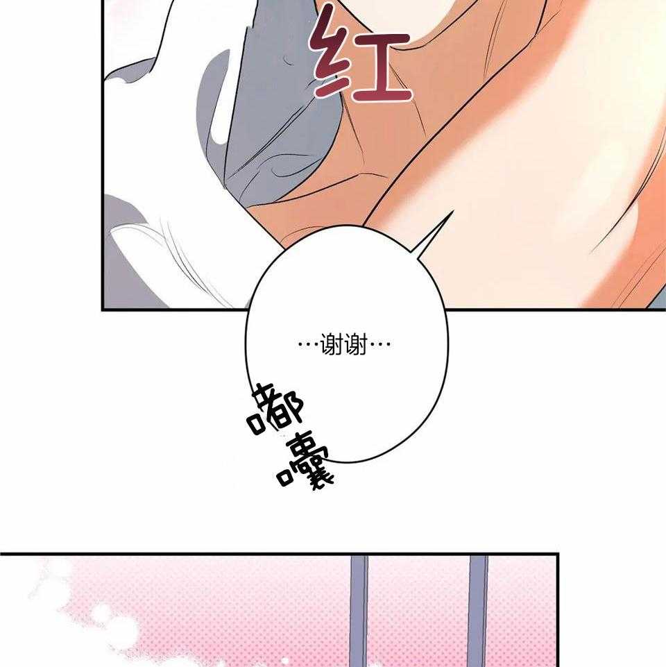 蜜月之旅第10话图