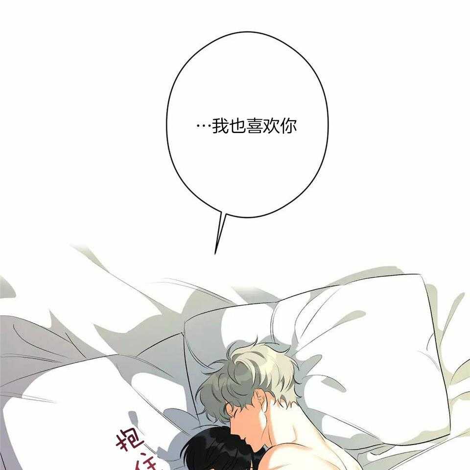 蜜月之旅第10话图