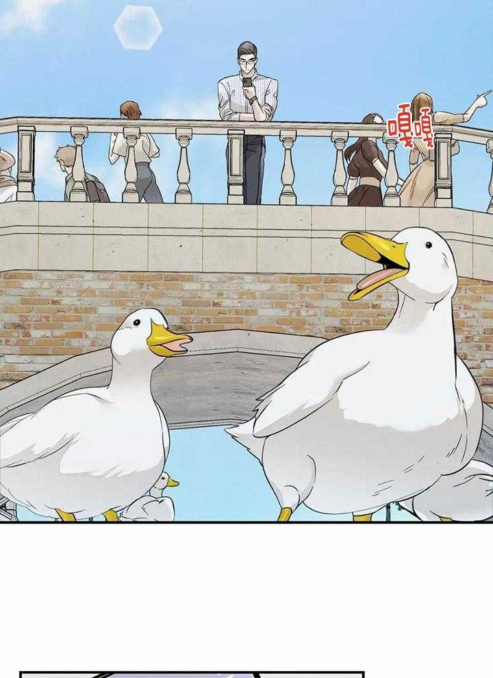 蜜月之旅第20话图