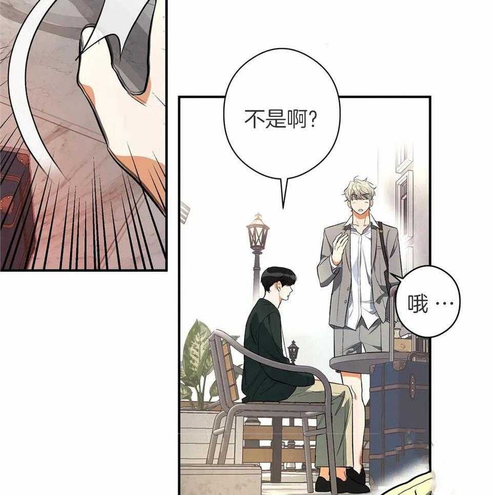 蜜月之旅第3话图