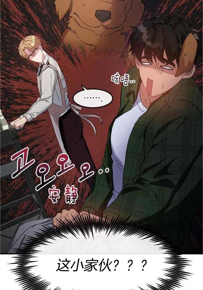 蜜月之旅第71话图