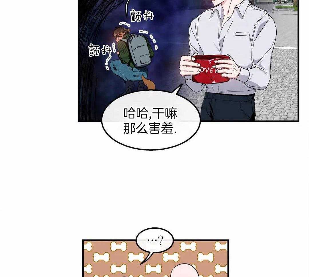 蜜月之旅第73话图