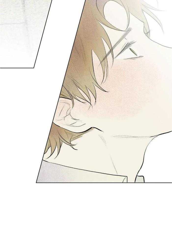 蜜月之旅第84话图