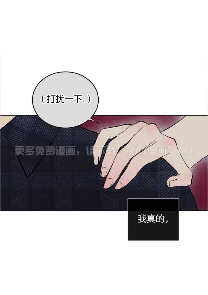 蜜月之旅第85话图