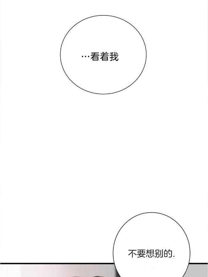 蜜月之旅第88话图