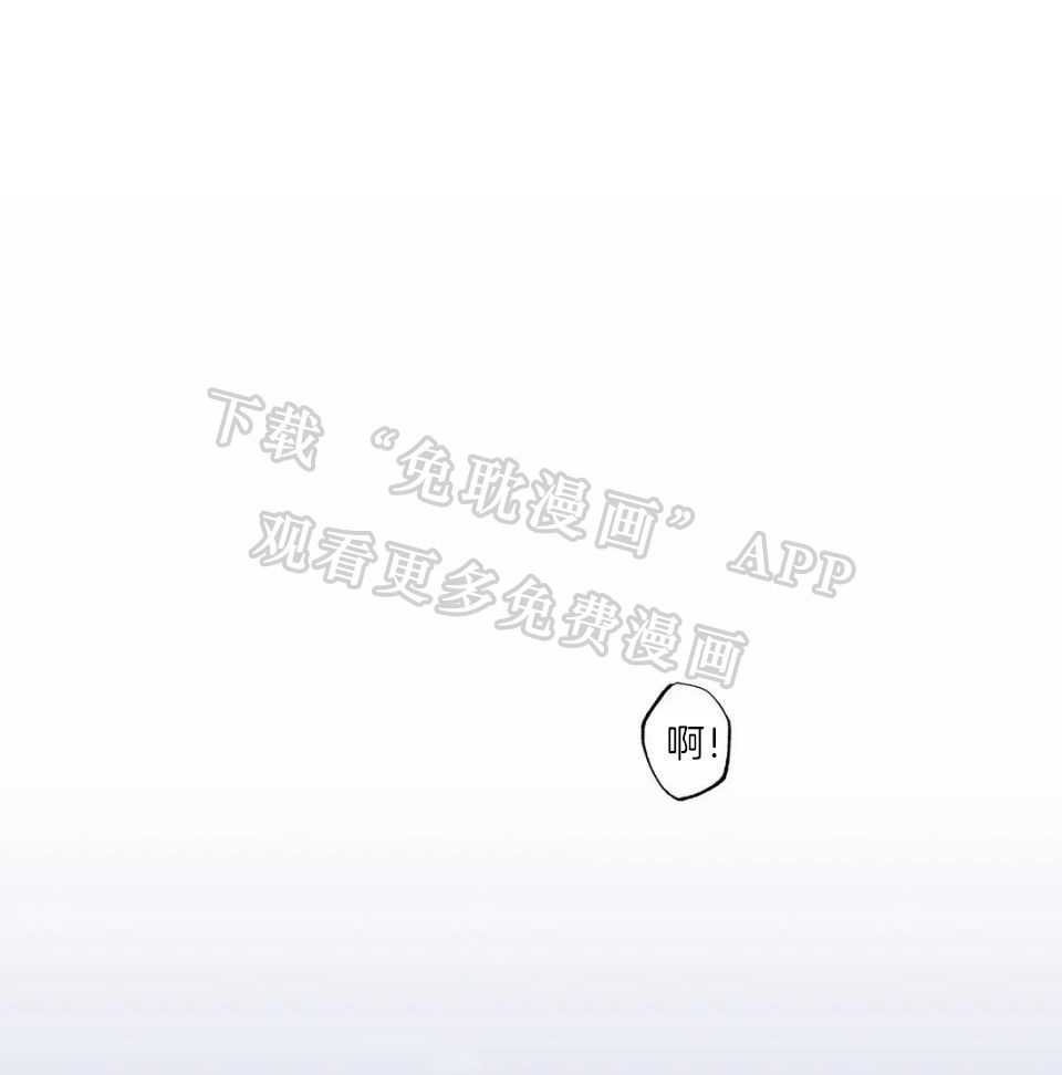 蜜月之旅第9话图