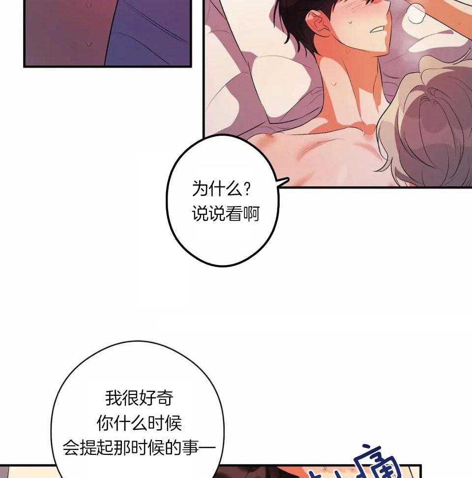 蜜月之旅第9话图