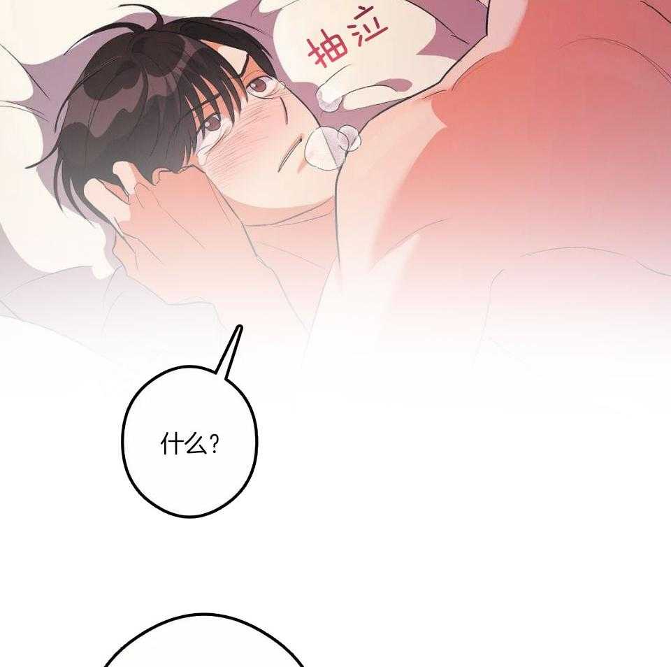 蜜月之旅第9话图