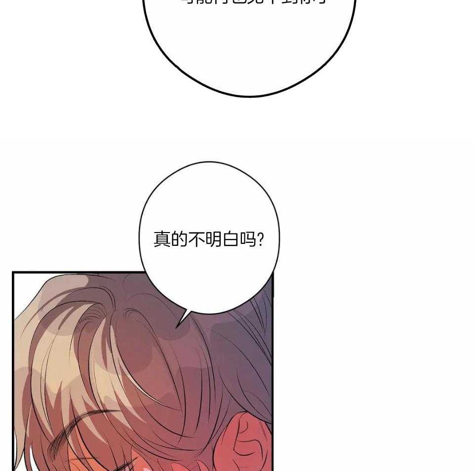 蜜月之旅第9话图