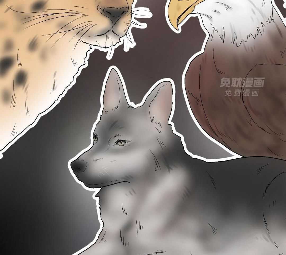 猛兽的圈套第1话图