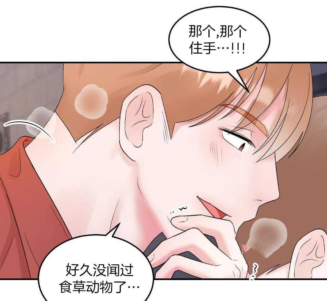 猛兽的圈套第17话图