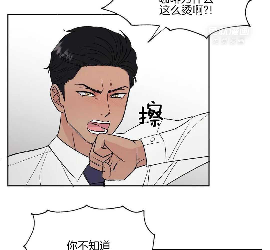 猫猫上司认定我（共2季） 第1话 第31页