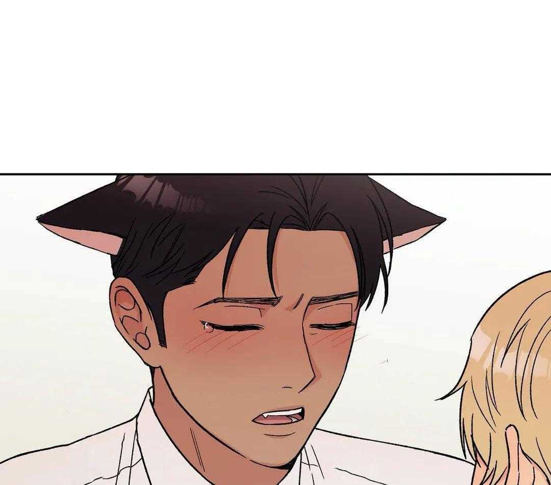 猫猫上司认定我（共2季） 第10话 第12页