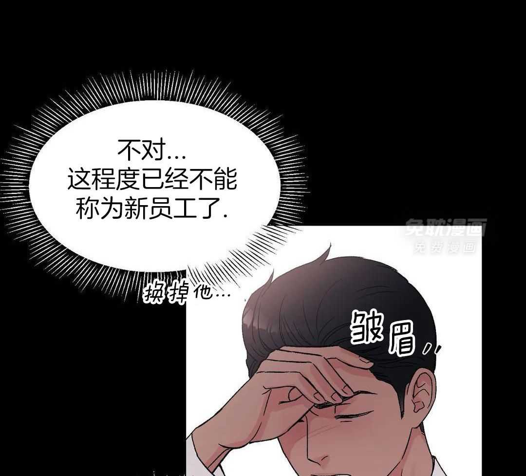 猫猫上司认定我（共2季） 第11话 第3页