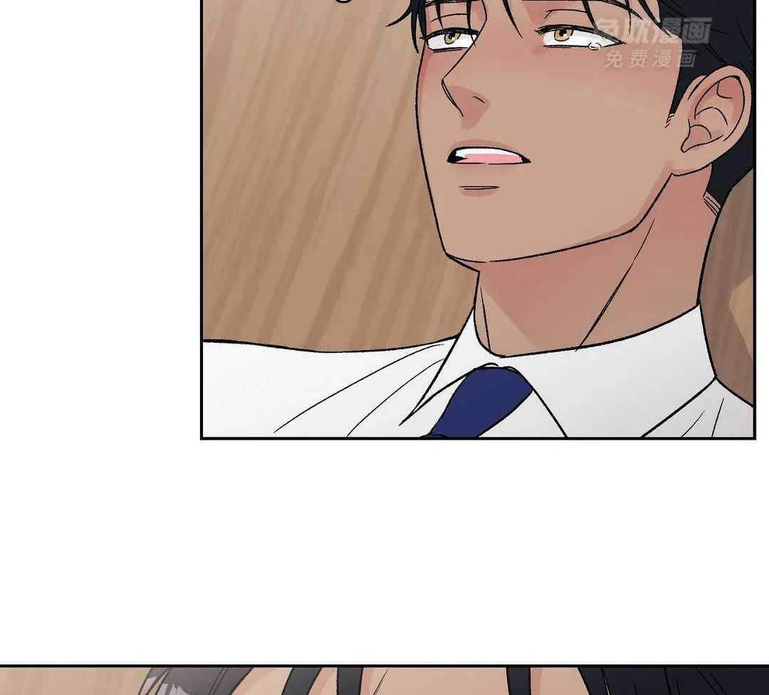 猫猫上司认定我（共2季） 第11话 第14页