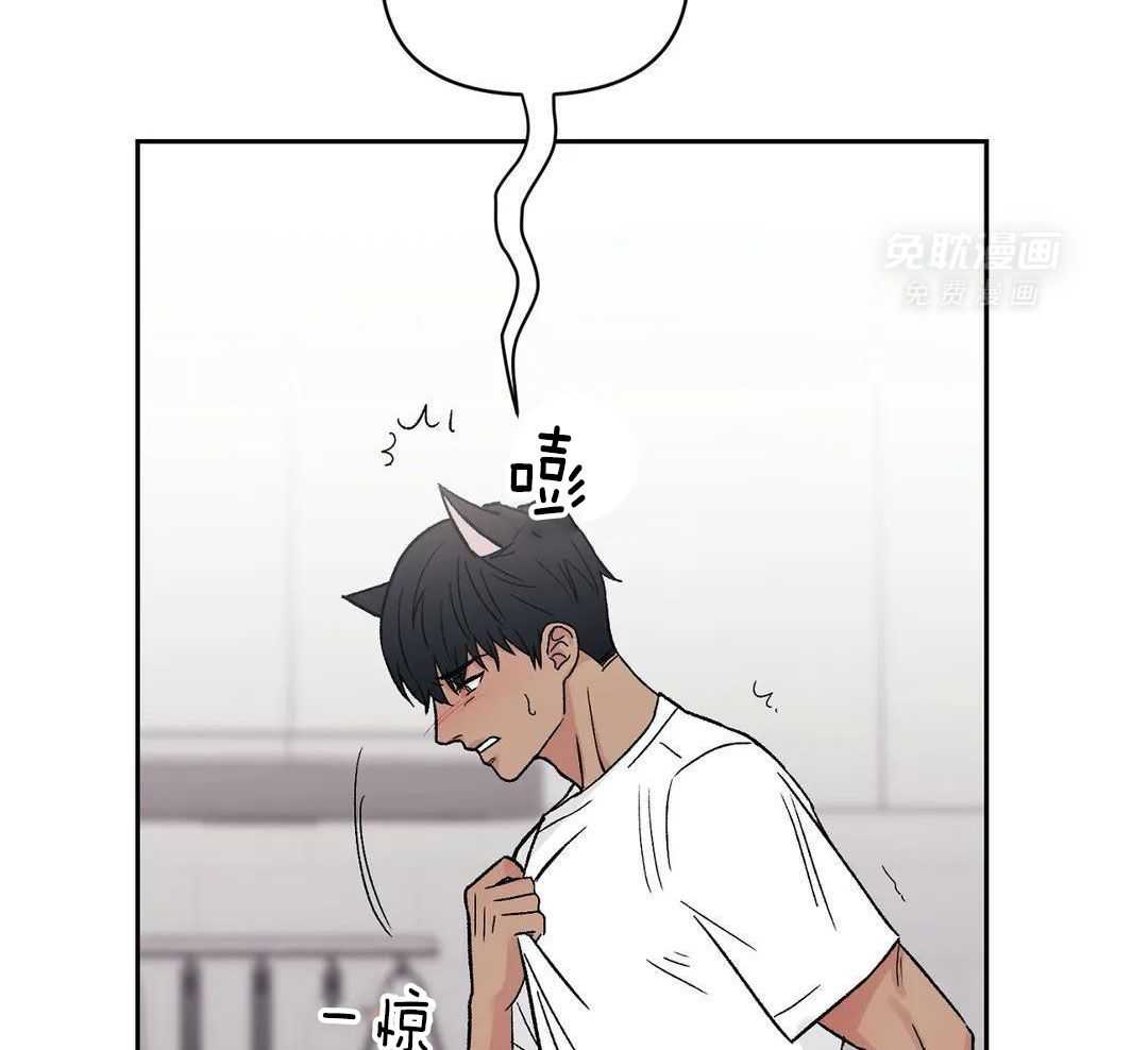 猫猫上司认定我（共2季） 第11话 第43页