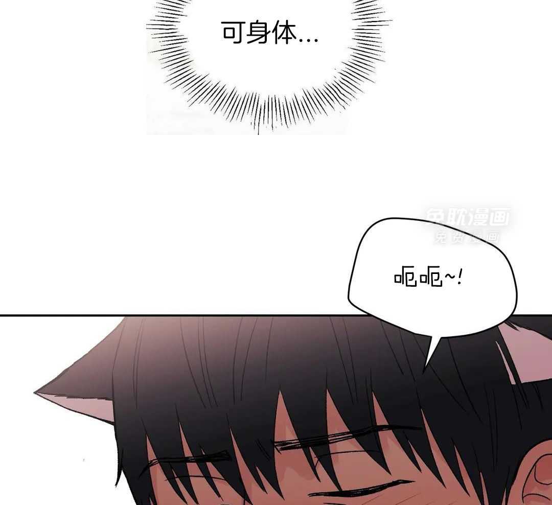 猫猫上司认定我（共2季） 第11话 第47页