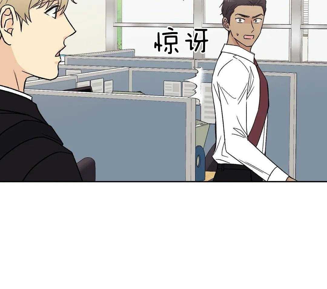 猫猫上司认定我（共2季） 第12话 第41页