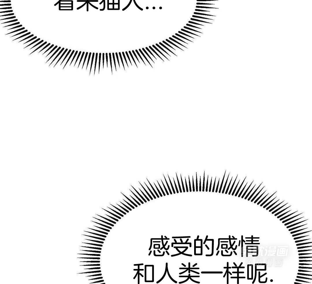 猫猫上司认定我（共2季） 第13话 第14页