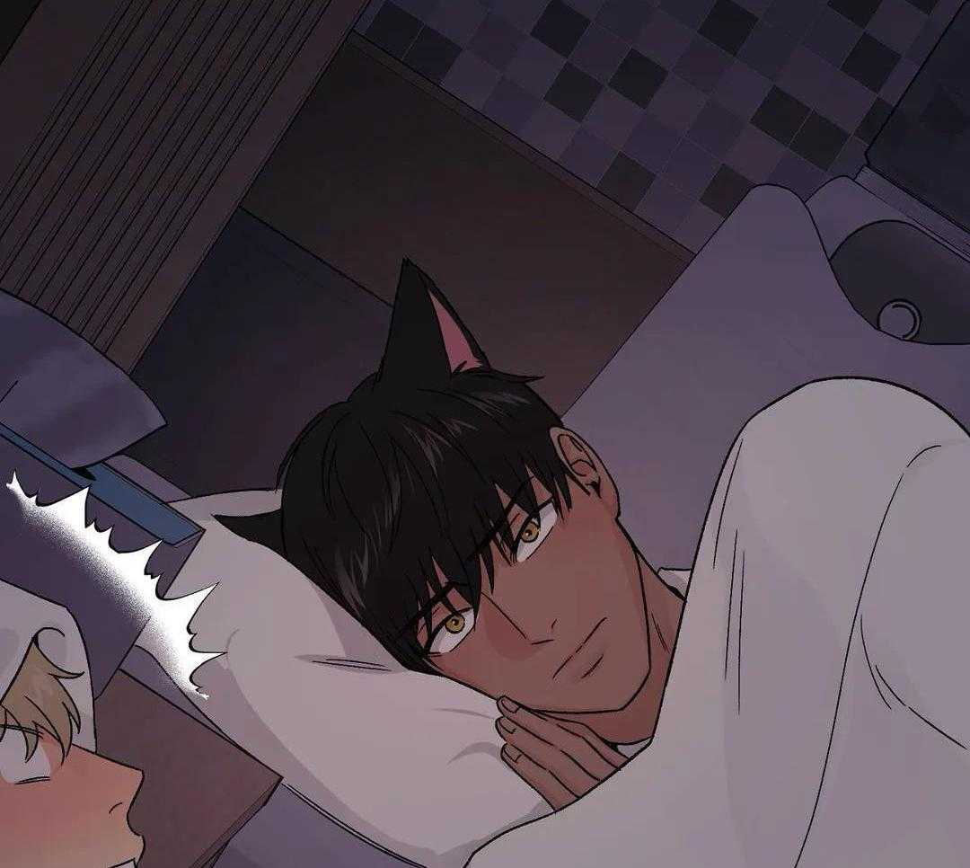 猫猫上司认定我（共2季） 第15话 第31页