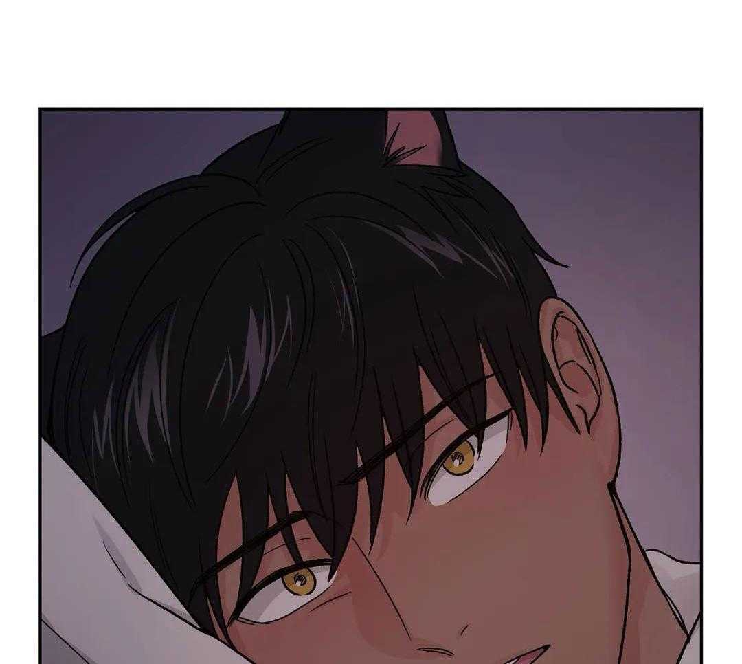 猫猫上司认定我（共2季） 第15话 第33页