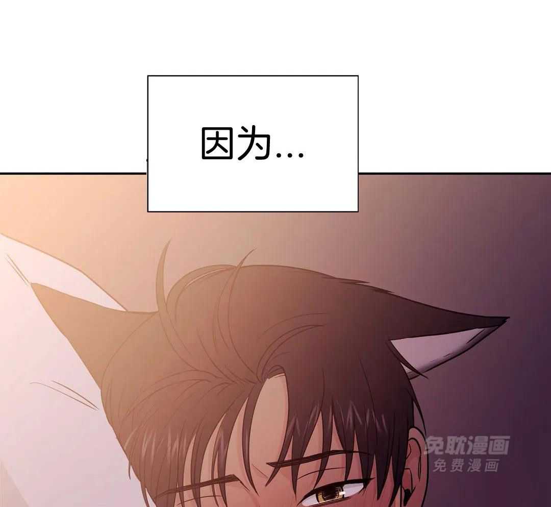 猫猫上司认定我（共2季） 第16话 第3页