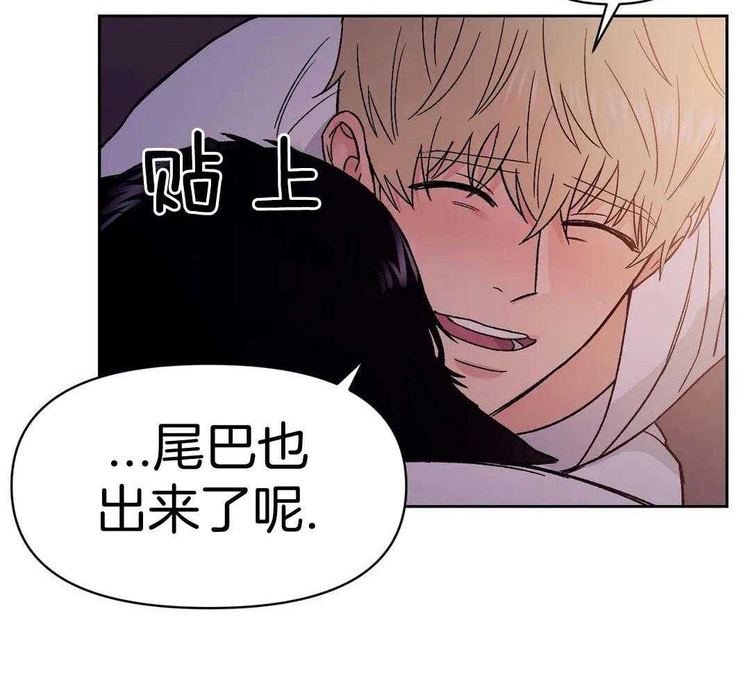 猫猫上司认定我（共2季） 第16话 第26页