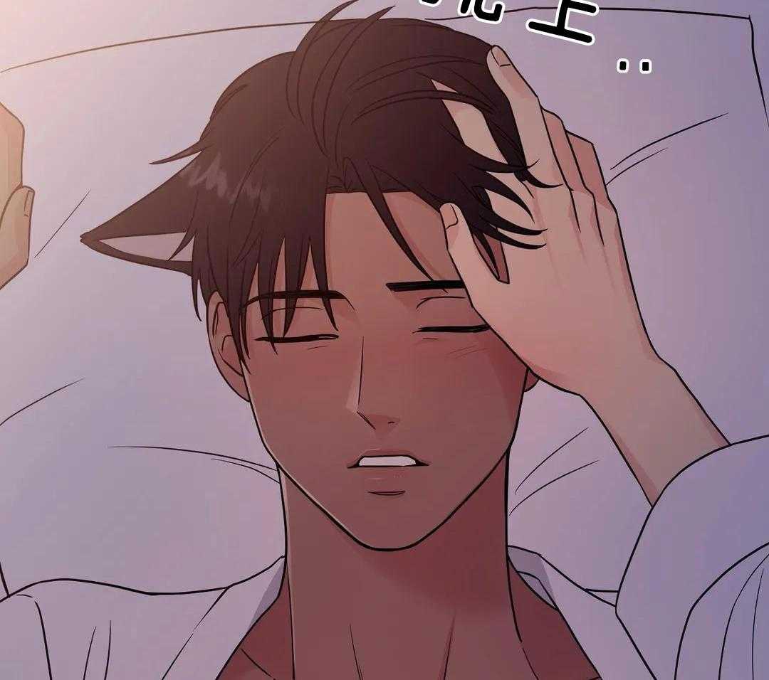 猫猫上司认定我（共2季） 第16话 第42页