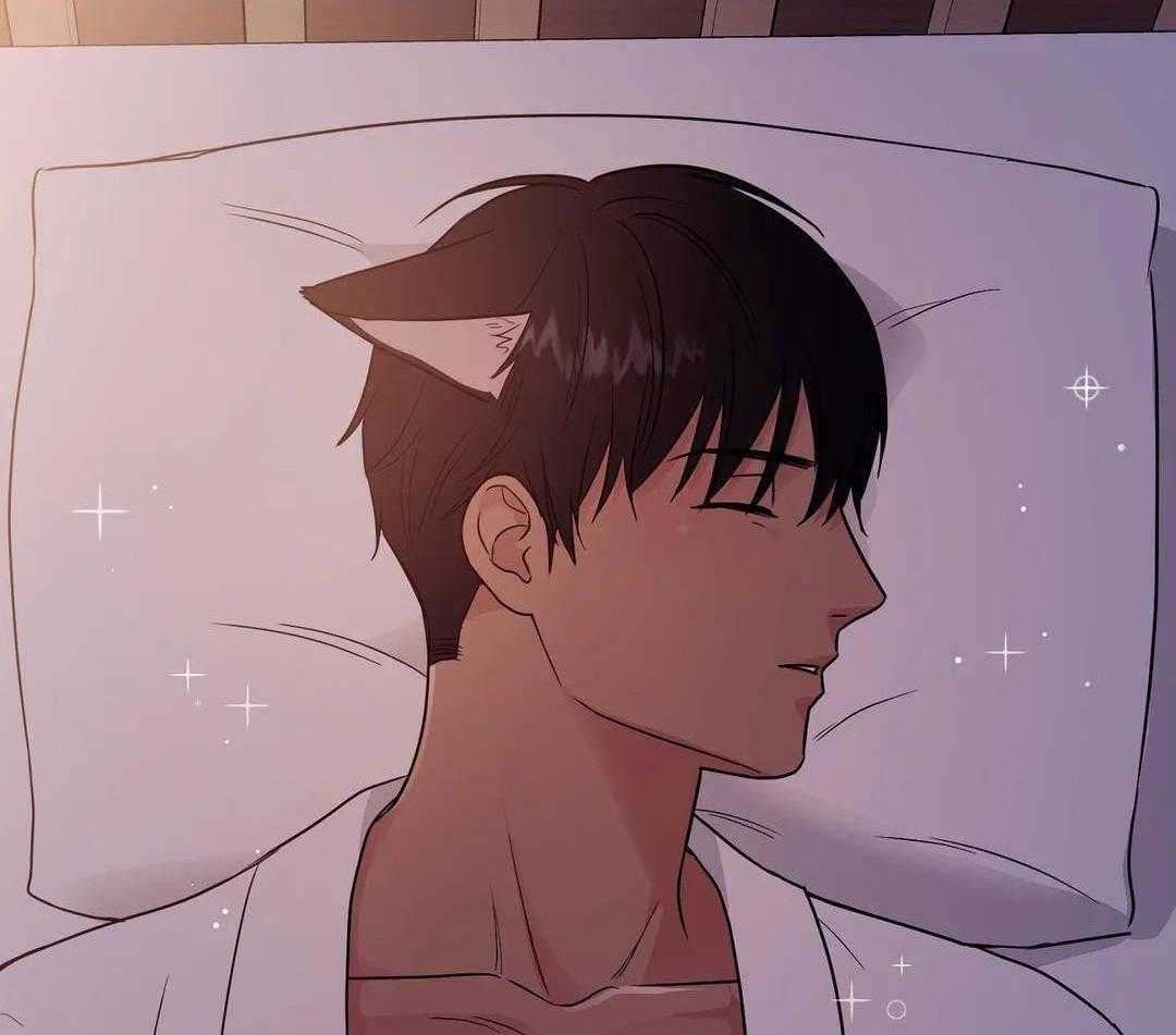 猫猫上司认定我（共2季） 第17话 第6页