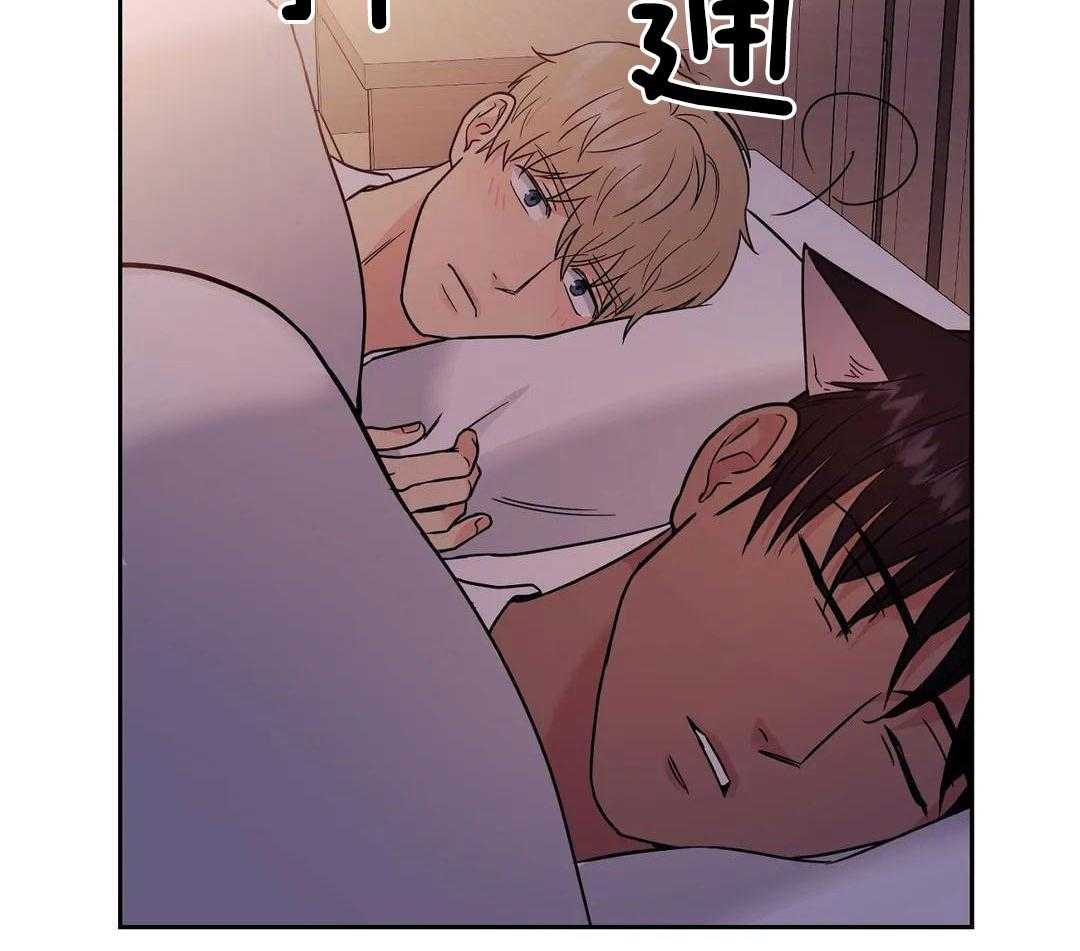 猫猫上司认定我（共2季） 第17话 第15页