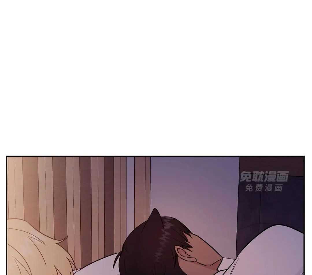 猫猫上司认定我（共2季） 第17话 第16页