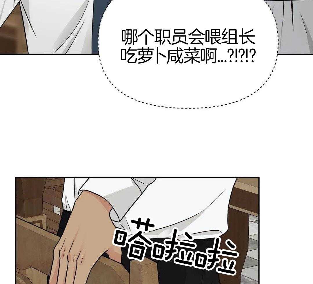 猫猫上司认定我（共2季） 第18话 第31页