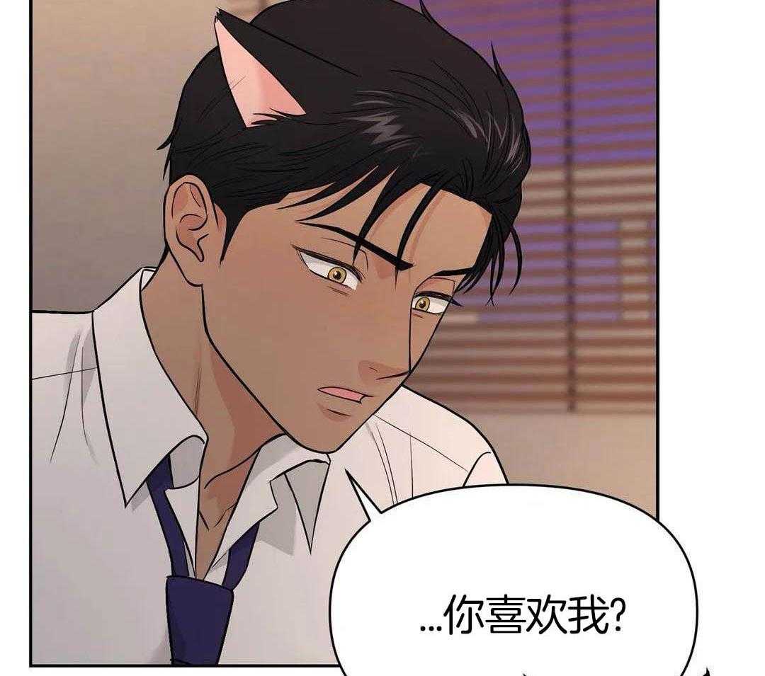 猫猫上司认定我（共2季） 第22话 第37页