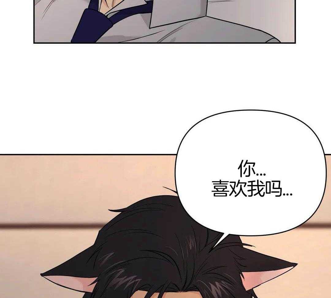 猫猫上司认定我（共2季） 第23话 第6页