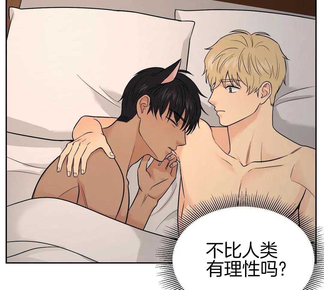 猫猫上司认定我（共2季） 第23话 第40页