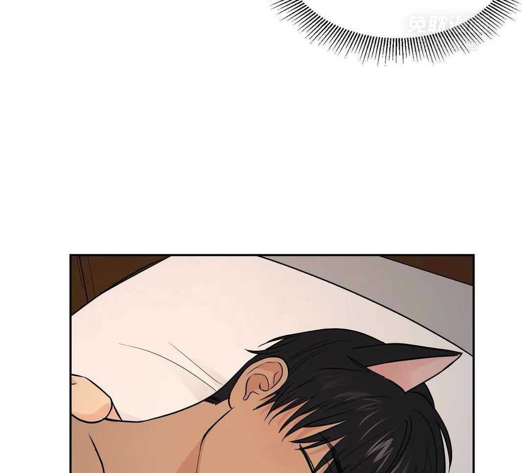 猫猫上司认定我（共2季） 第23话 第41页