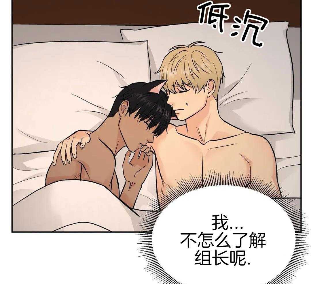 猫猫上司认定我（共2季） 第24话 第1页