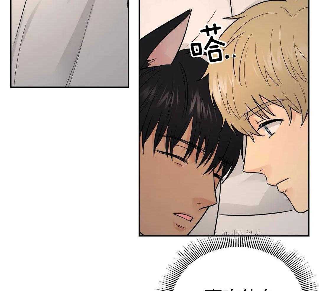 猫猫上司认定我（共2季） 第24话 第3页