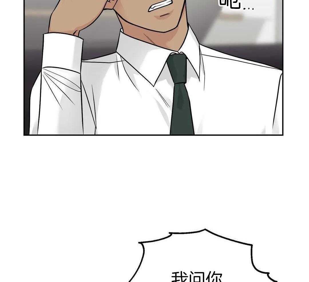 猫猫上司认定我（共2季） 第24话 第19页