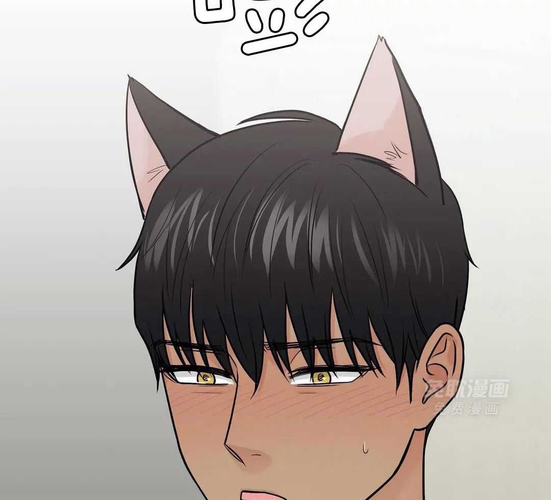 猫猫上司认定我（共2季） 第29话 第22页