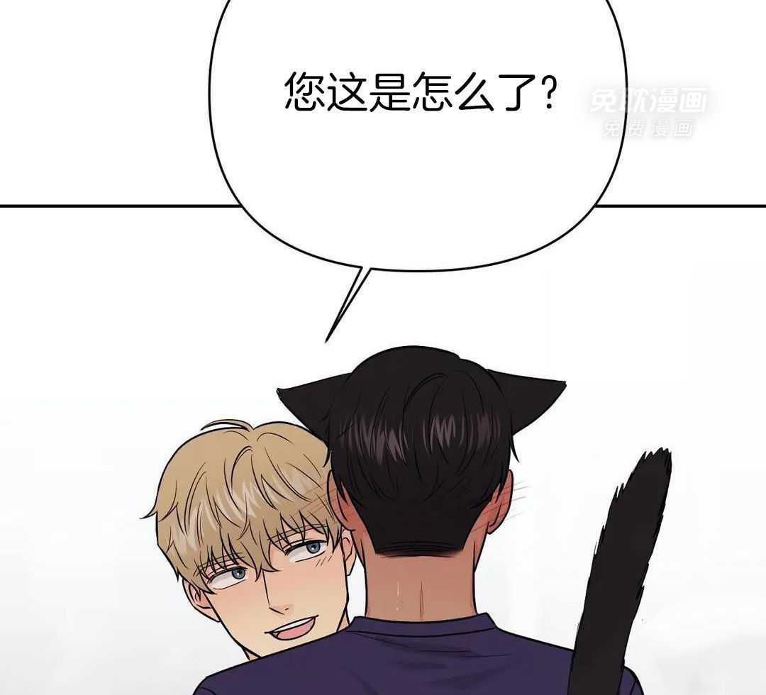 猫猫上司认定我（共2季） 第29话 第32页