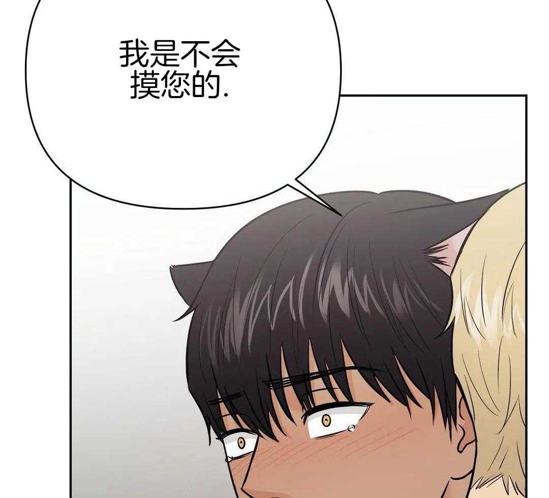 猫猫上司认定我（共2季） 第29话 第37页