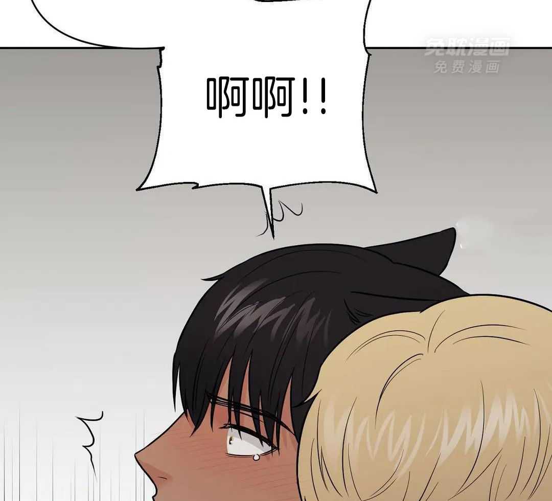 猫猫上司认定我（共2季） 第29话 第43页