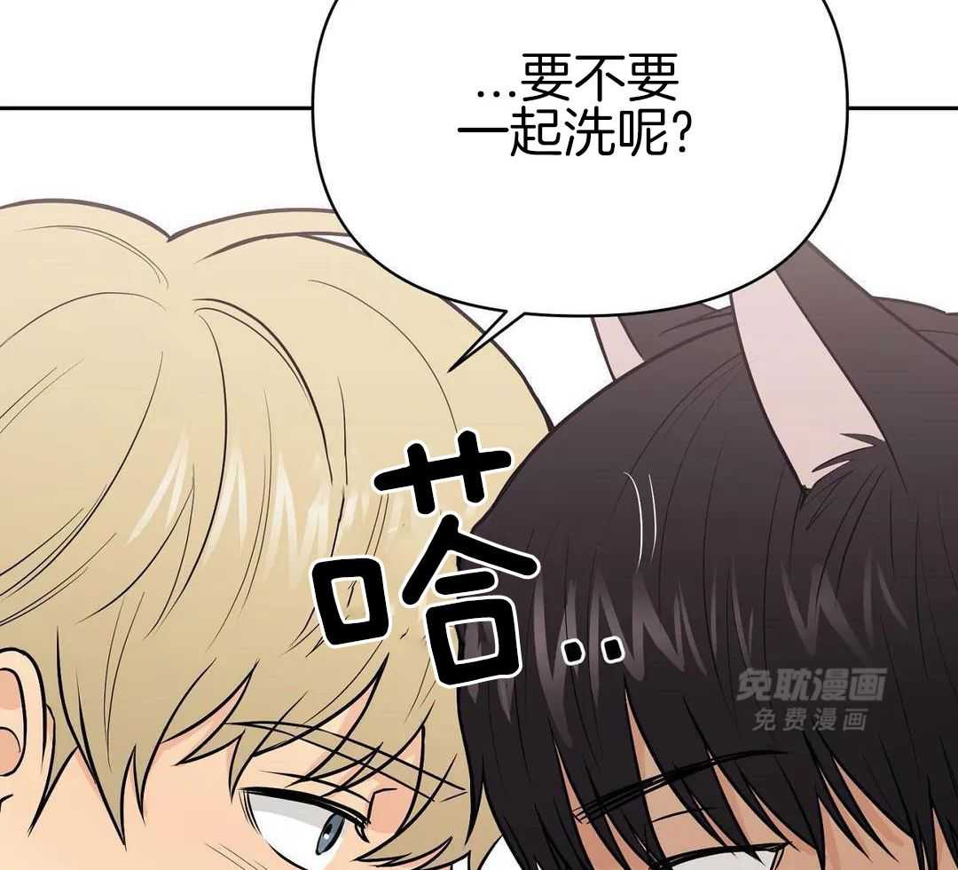 猫猫上司认定我（共2季） 第29话 第49页