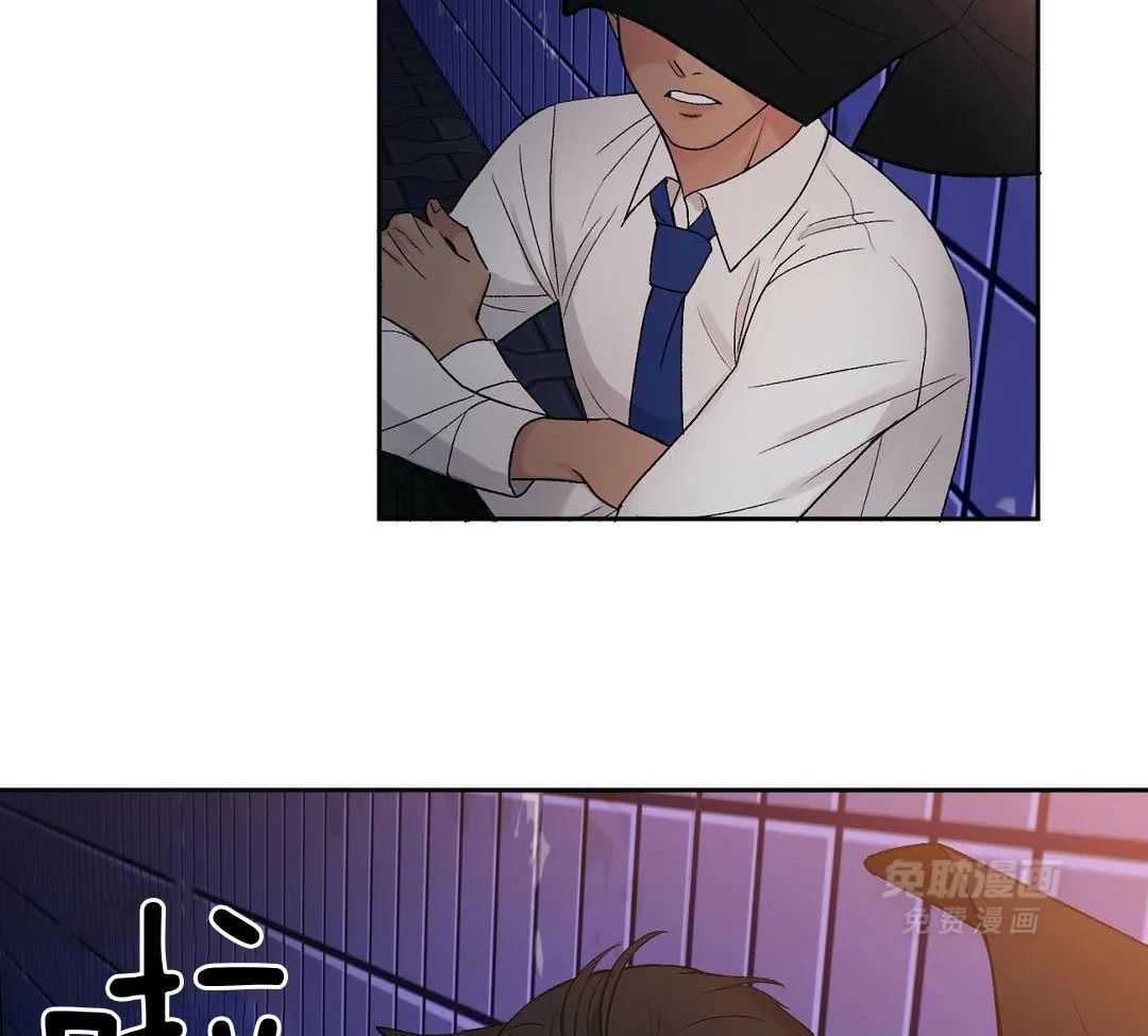 猫猫上司认定我（共2季） 第3话 第6页